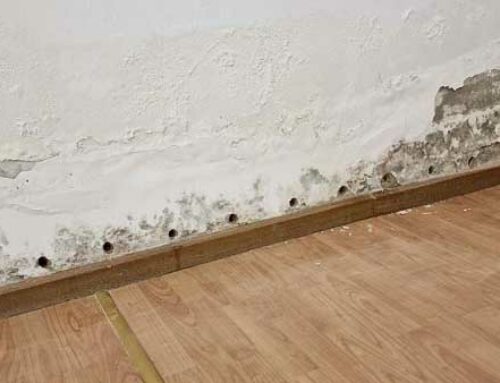 Falszigetelés injektálással: hatékony megoldás a nedves falak ellen